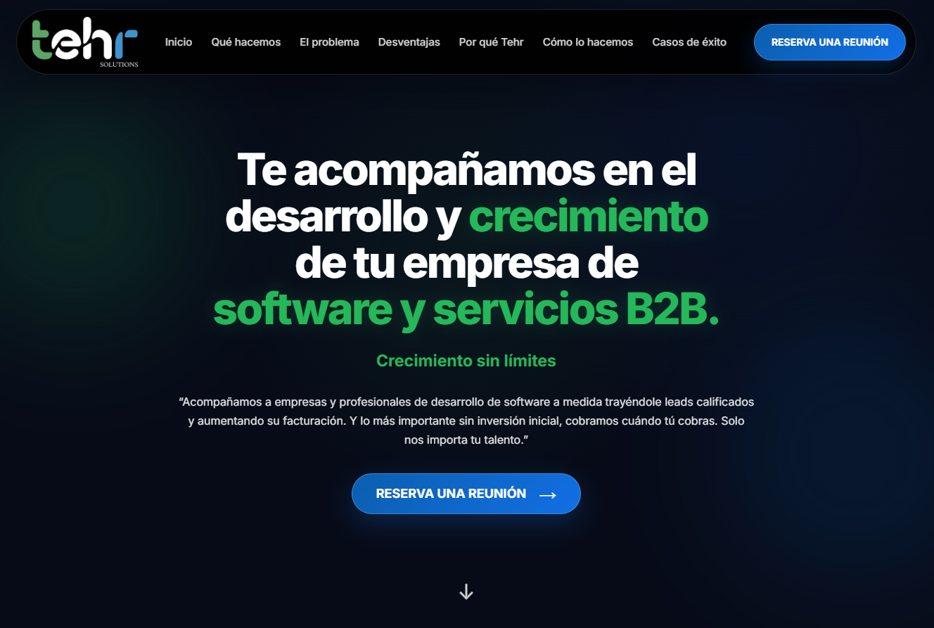 One Page desarrollada para TEHR Solutions